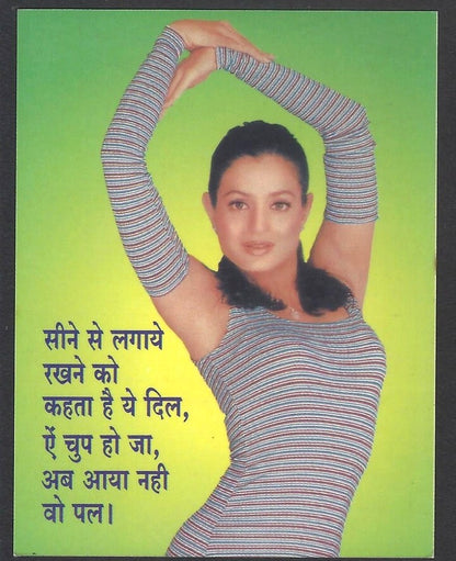 AOP2 India Bollywood 2005 Pocket Calendar AMISHA PATEL