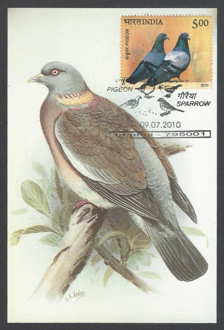 AOP India 2010 Pigeon maxi card set of 24