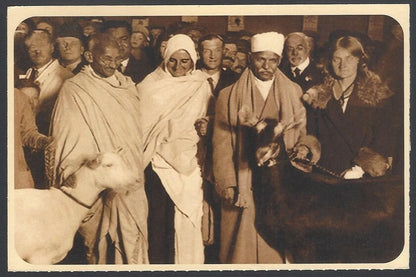 AOP India full back pictorial 50p Gandhi postal card GANDHI next to goat