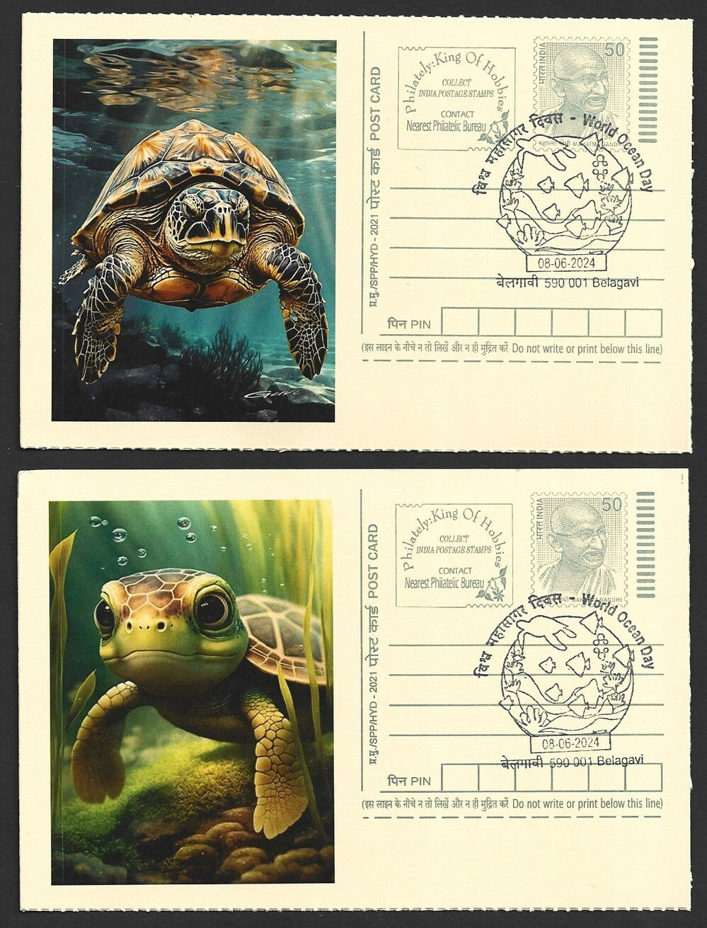 India 2024 World Ocean Day cards TORTOISE (9)