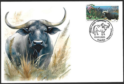 India 2025 WILD BUFFALO, GARIABAND Special covers (5)
