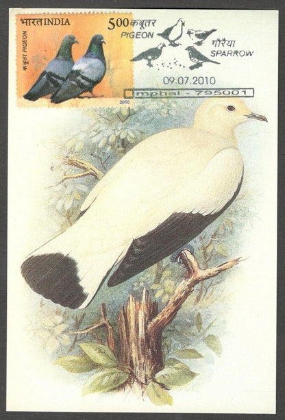 AOP India 2010 Pigeon maxi card