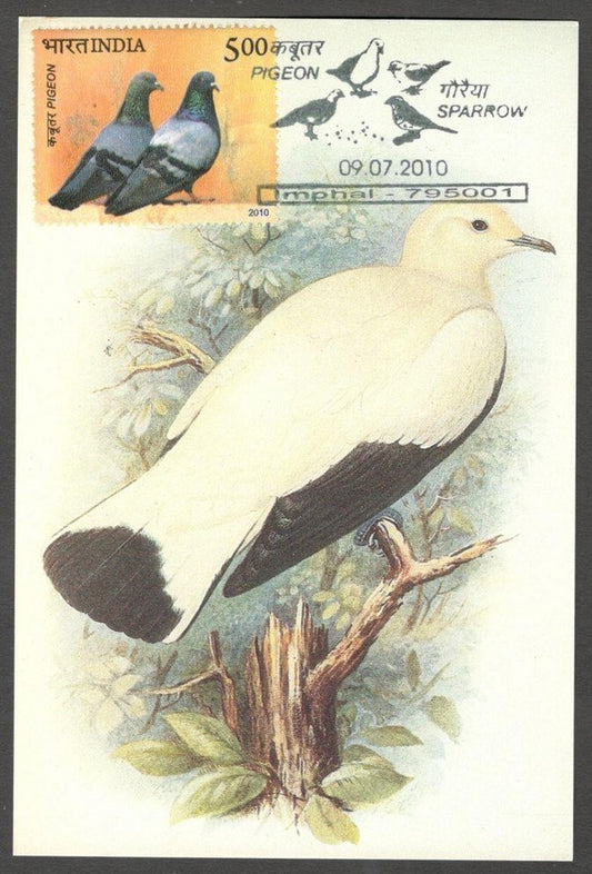 AOP India 2010 Pigeon maxi card