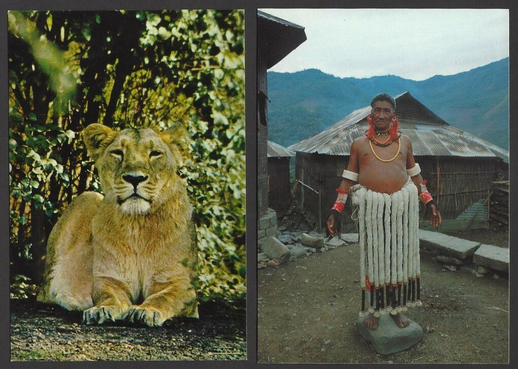 India 1970’s postcard (17)
