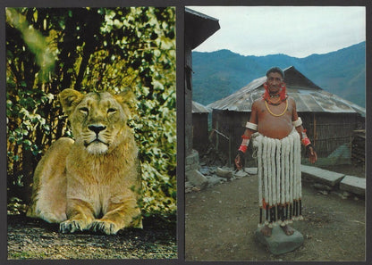India 1970’s postcard (17)