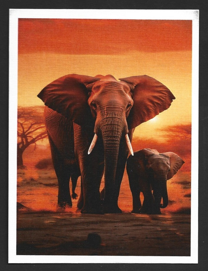 India 2023 LEMRU ELEPHANT RESERVE Special postcards (5)