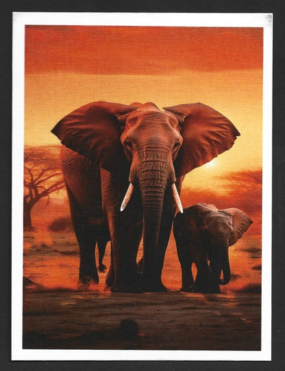 India 2023 LEMRU ELEPHANT RESERVE Special postcards (5)