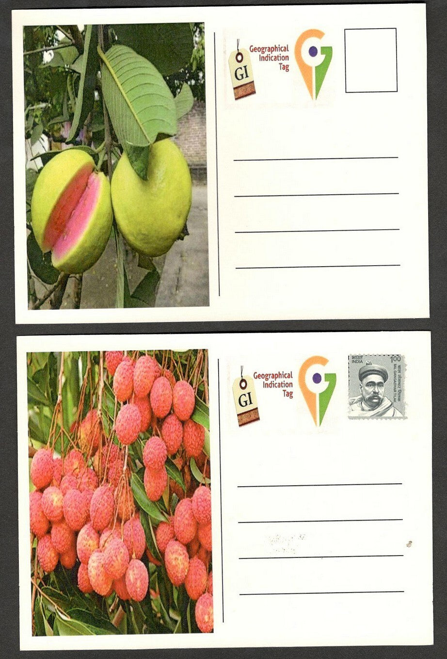 (AOP) India 2023 Indian Fruits sets of 12 maxicards