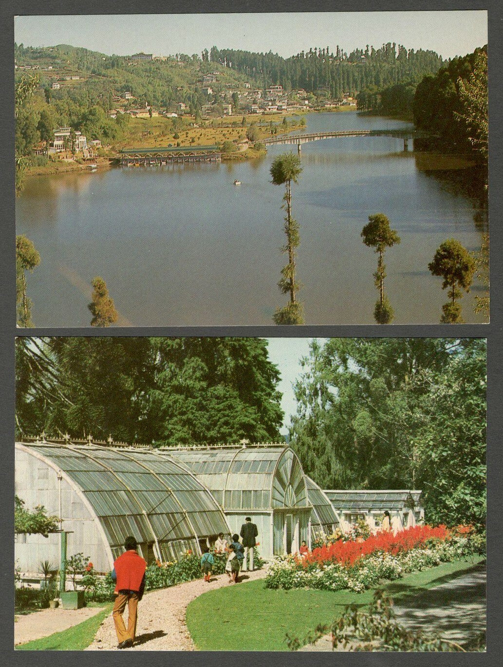 AOP India Darjeeling vintage ELAR colour postcards (9)