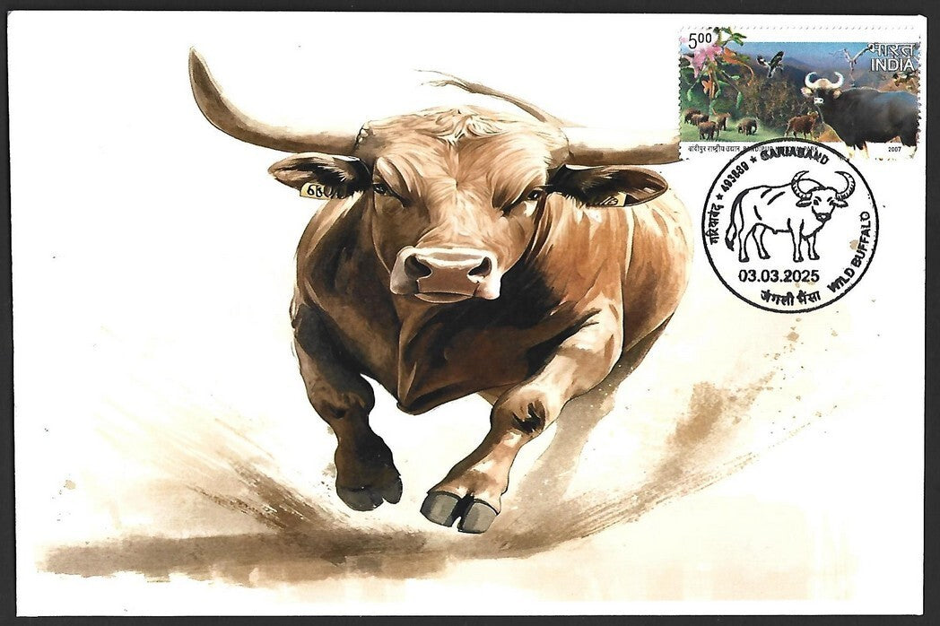 India 2025 WILD BUFFALO, GARIABAND Special covers (5)