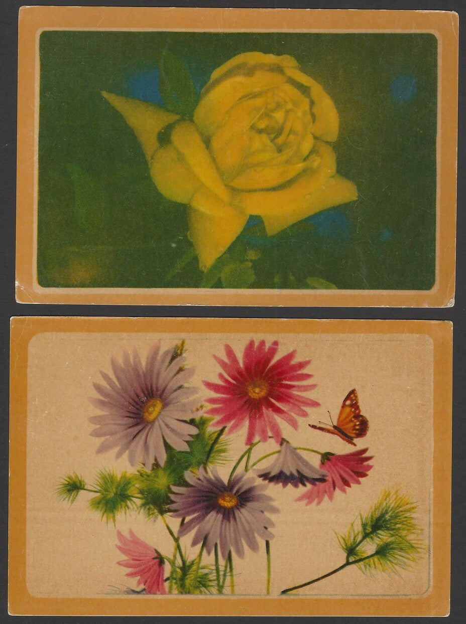 India Flowers vintage postcards (9)