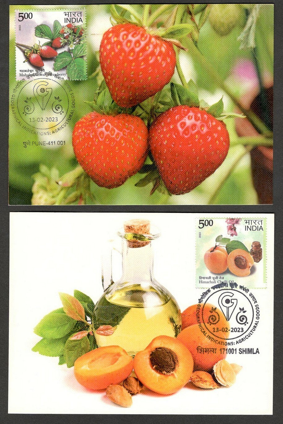 (AOP) India 2023 Indian Fruits sets of 12 maxicards