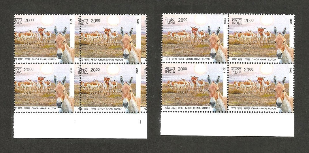 India 2013 Animals Ghor Khar Wild Ass misperf error block of 4 MNH