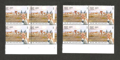 India 2013 Animals Ghor Khar Wild Ass misperf error block of 4 MNH