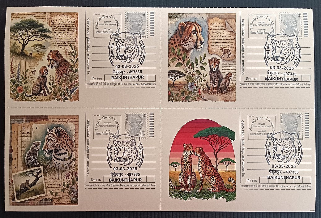 India Asiatic Cheetah group of 80 different special event postcards, Baikuntapur