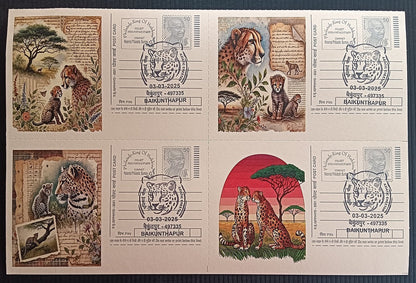India Asiatic Cheetah group of 80 different special event postcards, Baikuntapur