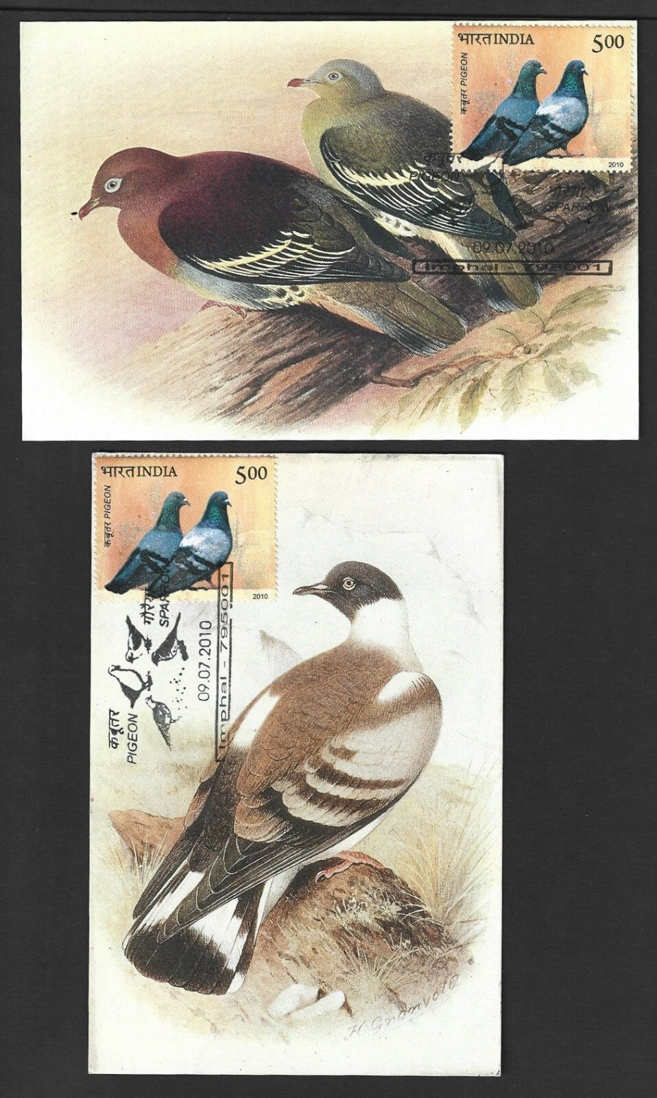 India 2010 Dove postcards (8)