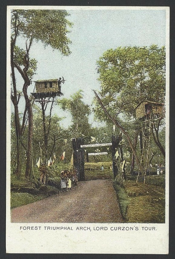 India vintage UB colour postcard Forest Triumphal Arch Lord Curzon’s Tour