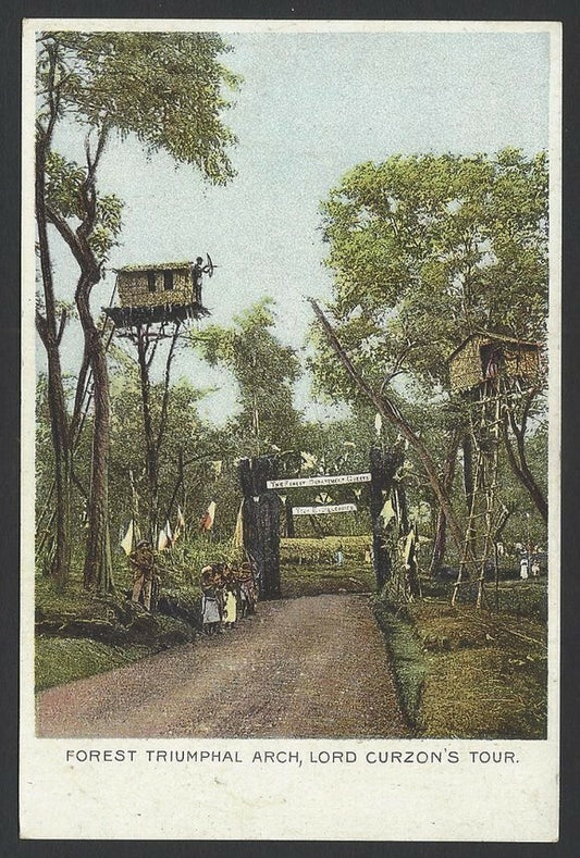 India vintage UB colour postcard Forest Triumphal Arch Lord Curzon’s Tour