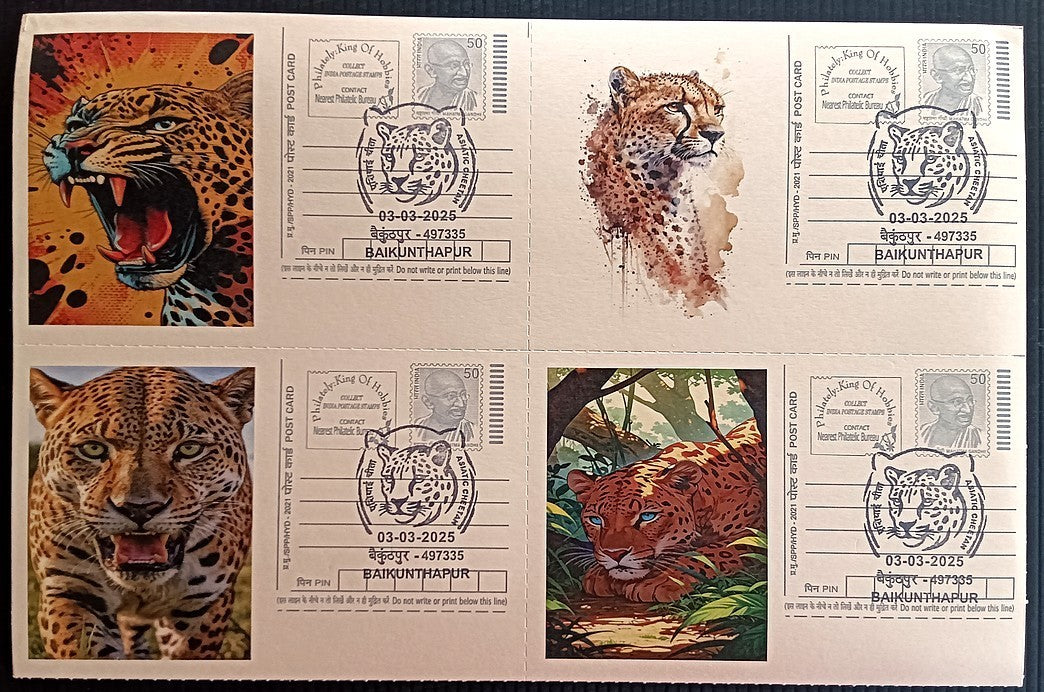 India Asiatic Cheetah group of 80 different special event postcards, Baikuntapur