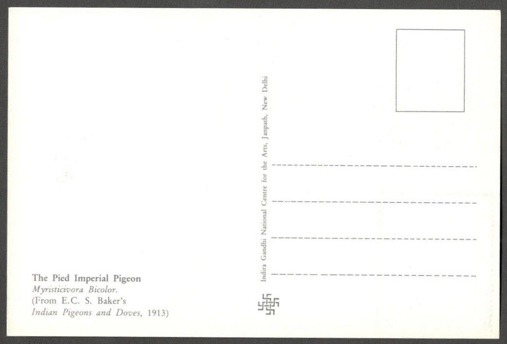 AOP India 2010 Pigeon maxi card