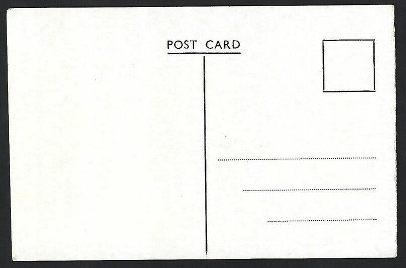India MATHERAN vintage postcard Lion Head