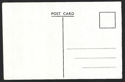 India MATHERAN vintage postcard Lion Head