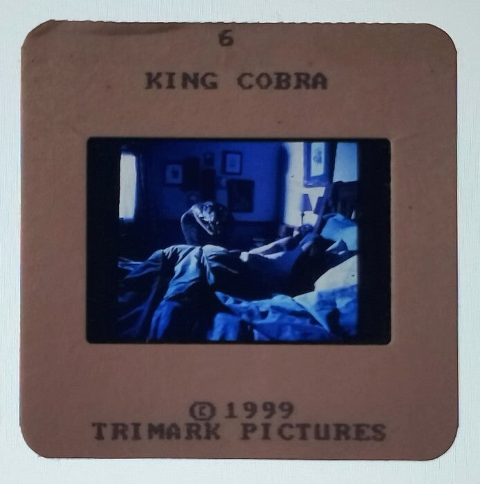 KING COBRA publicity material for India (15 slides, 9 photos, 2 negatives)