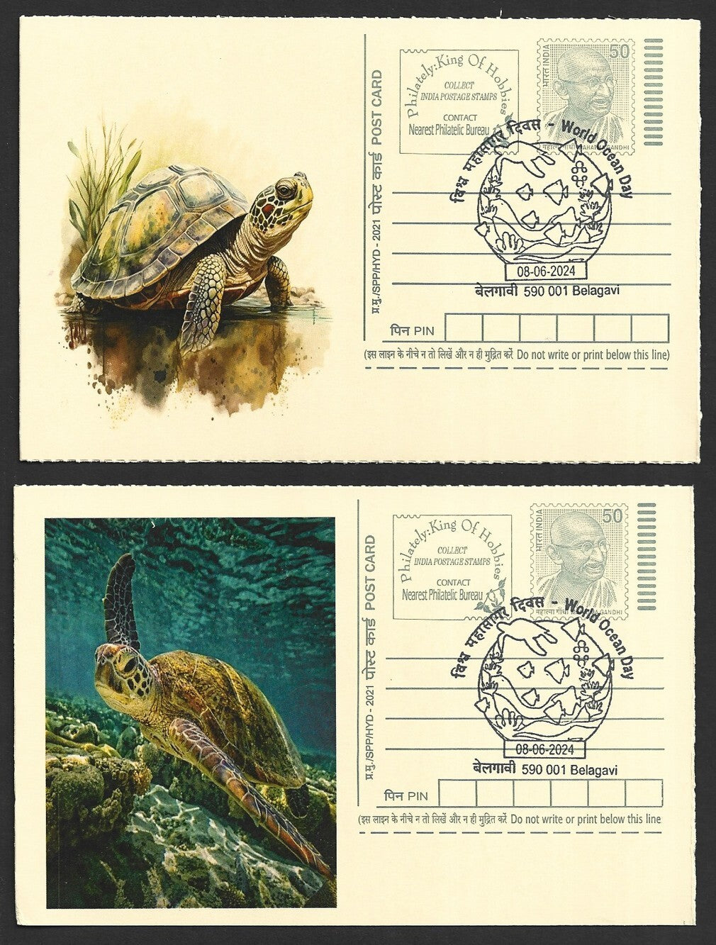 India 2024 World Ocean Day cards TORTOISE (11)