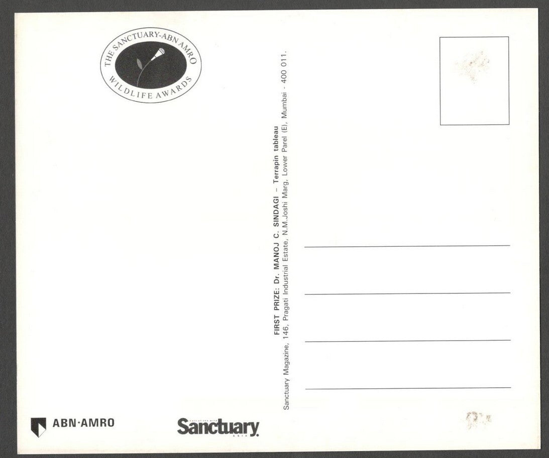 AOP India large Wildlife Art Photography postcards (8)