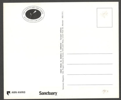 AOP India large Wildlife Art Photography postcards (8)