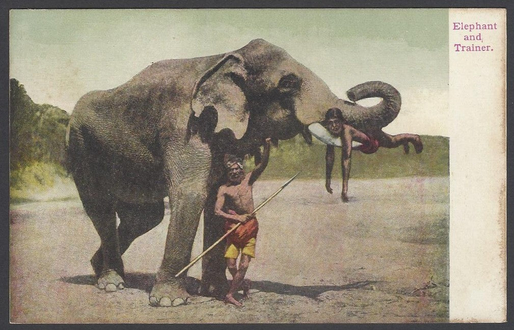 AOP India vintage postcard ELEPHANT & TRAINER