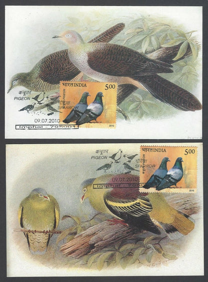 AOP India 2010 Pigeon maxi card set of 24