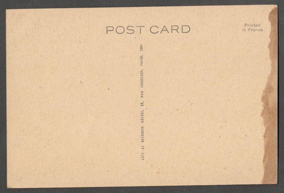 AOP India Big Lake, Udaipur vintage postcard