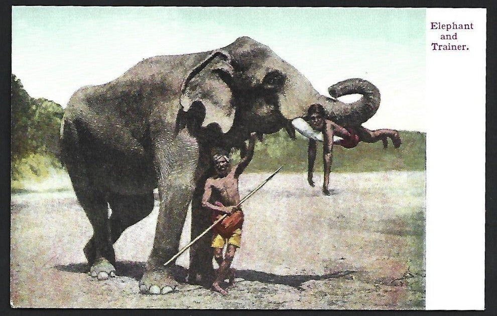 India vintage colour postcard ELEPHANT & TRAINER