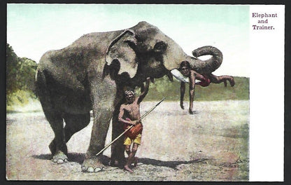 India vintage colour postcard ELEPHANT & TRAINER