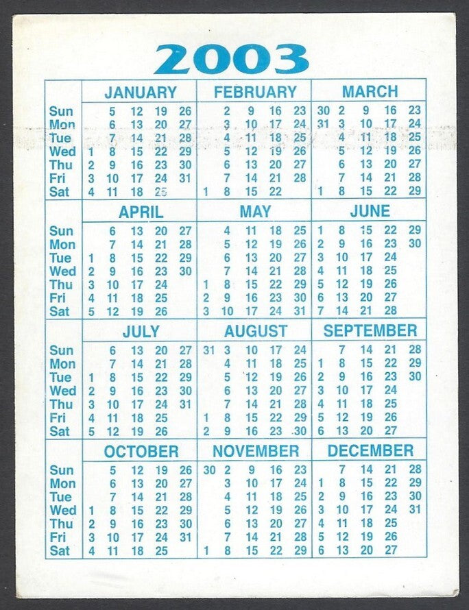 AOP2 India Bollywood 2003 pocket calendar MADHURI DIXIT