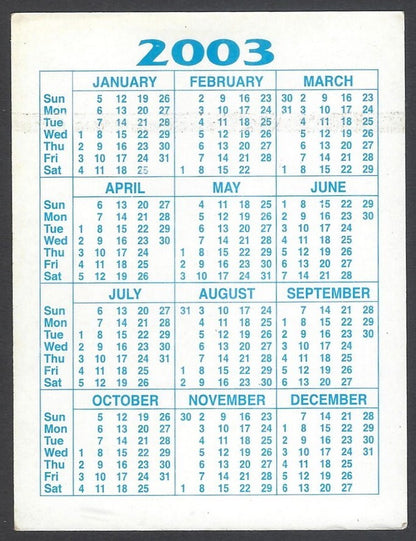 AOP2 India Bollywood 2003 pocket calendar MADHURI DIXIT