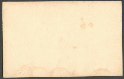 AOP India vintage photo BRINDAVAN GARDEN, MYSORE 3" x 5"