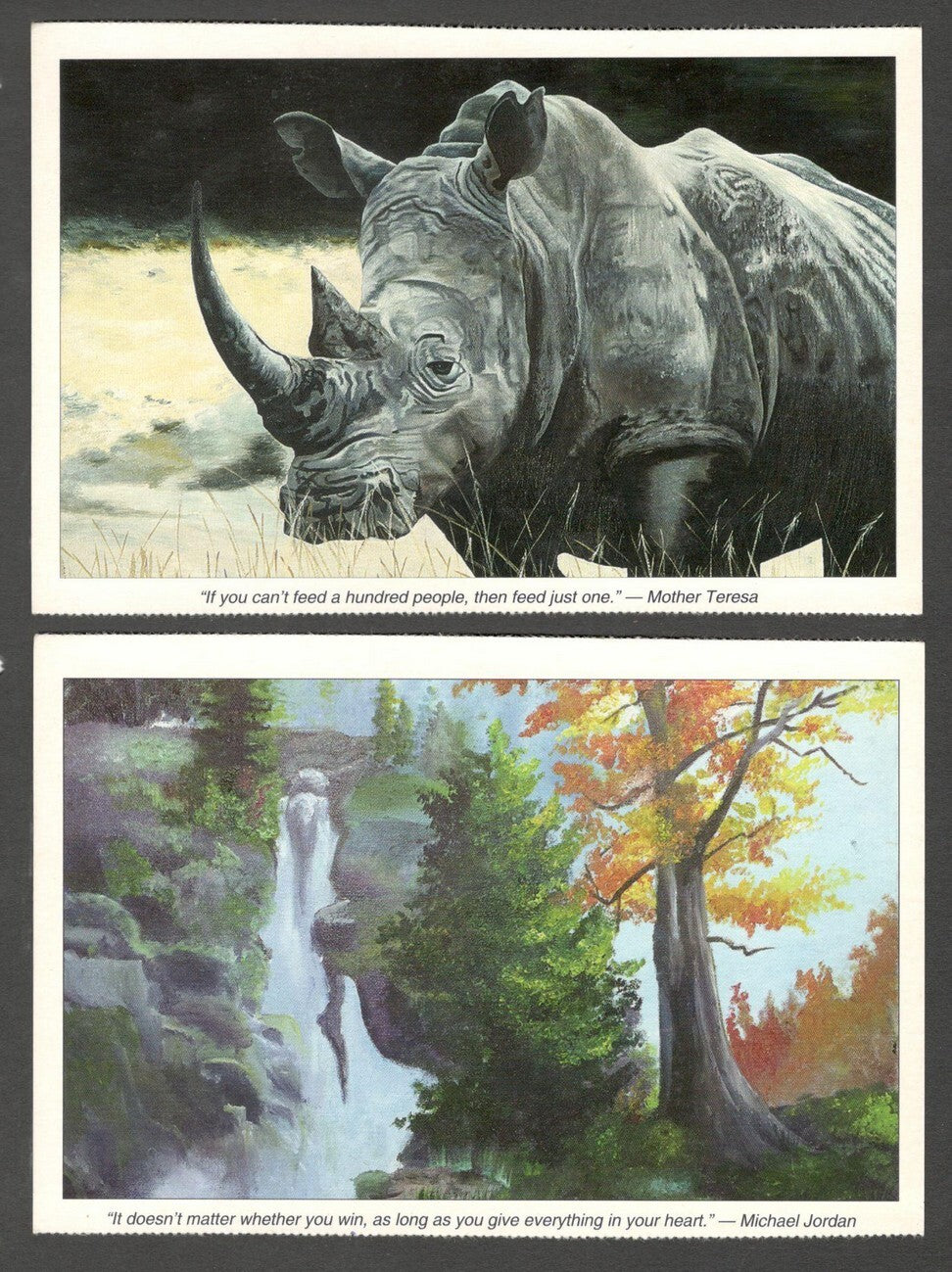 AOP India FOOT & MOUTH ARTISTS postcards (10)