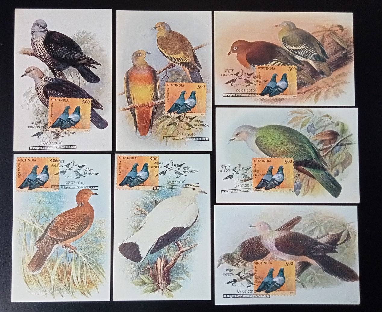 AOP India 2010 Pigeon maxicard set of 24