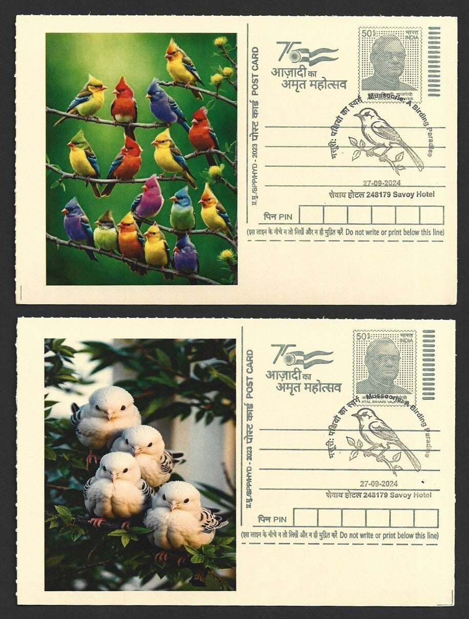 India 2024 Birding Paradise Savoy Hotel postmark cards FAMILIES OF BIRDS (10)