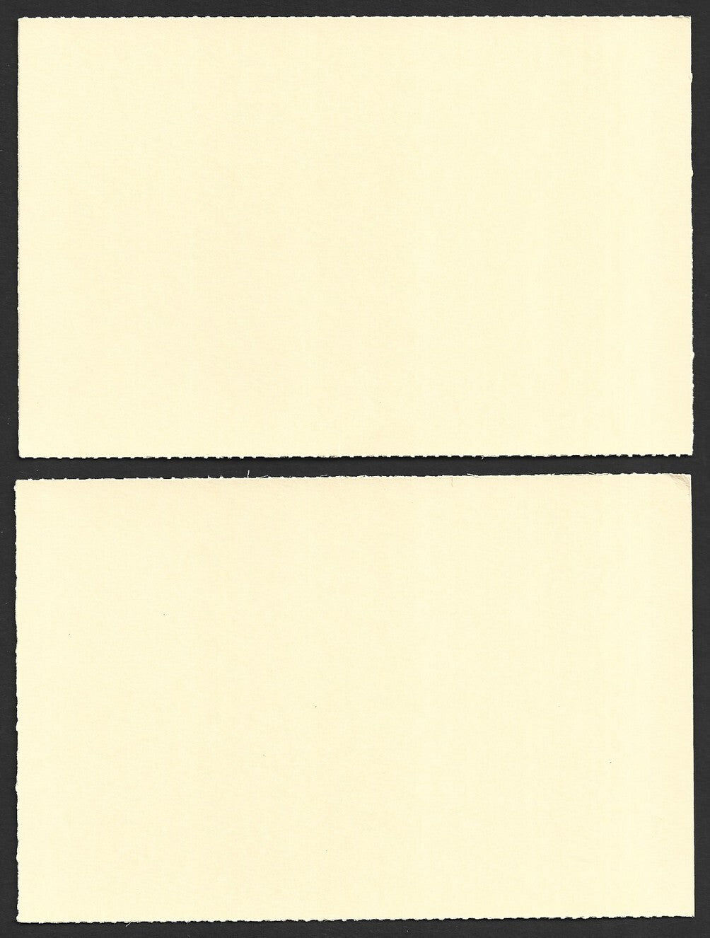 India 2024 World Ocean Day cards TORTOISE (9)