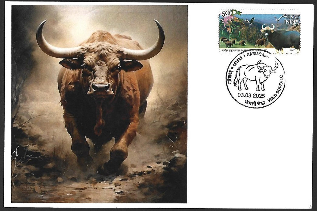 India 2025 WILD BUFFALO, GARIABAND Special covers (5)