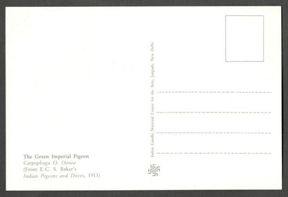 AOP India 2010 Pigeon maxi card