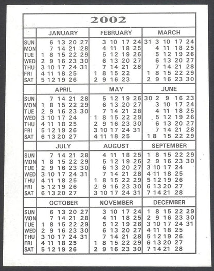 AOP2 India Bollywood 2002 Pocket Calendar - DIA MIRZA & SALMAN KHAN