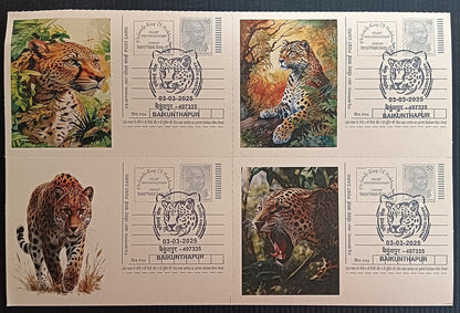 India Asiatic Cheetah group of 80 different special event postcards, Baikuntapur
