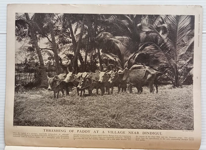 INDIAN PICTORAL EDUCATION 1929.30 Voll.1 No.4 Burma Shan, Rivers