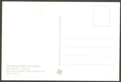 AOP India 2010 Pigeon maxi card