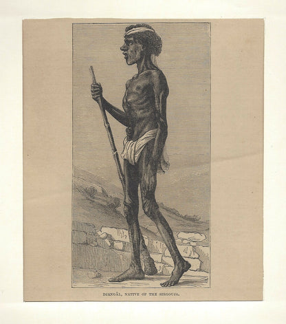 India Djangal Native of the Sirgouja 19th Century Engraving cm14 x 16cm